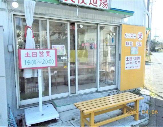 天使道場
