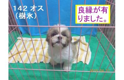 樹氷4月良縁