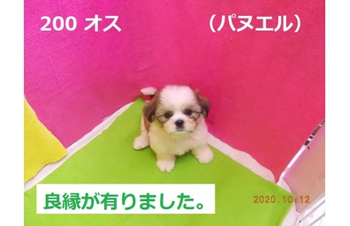 10月パヌエル