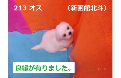 新函館北斗良縁