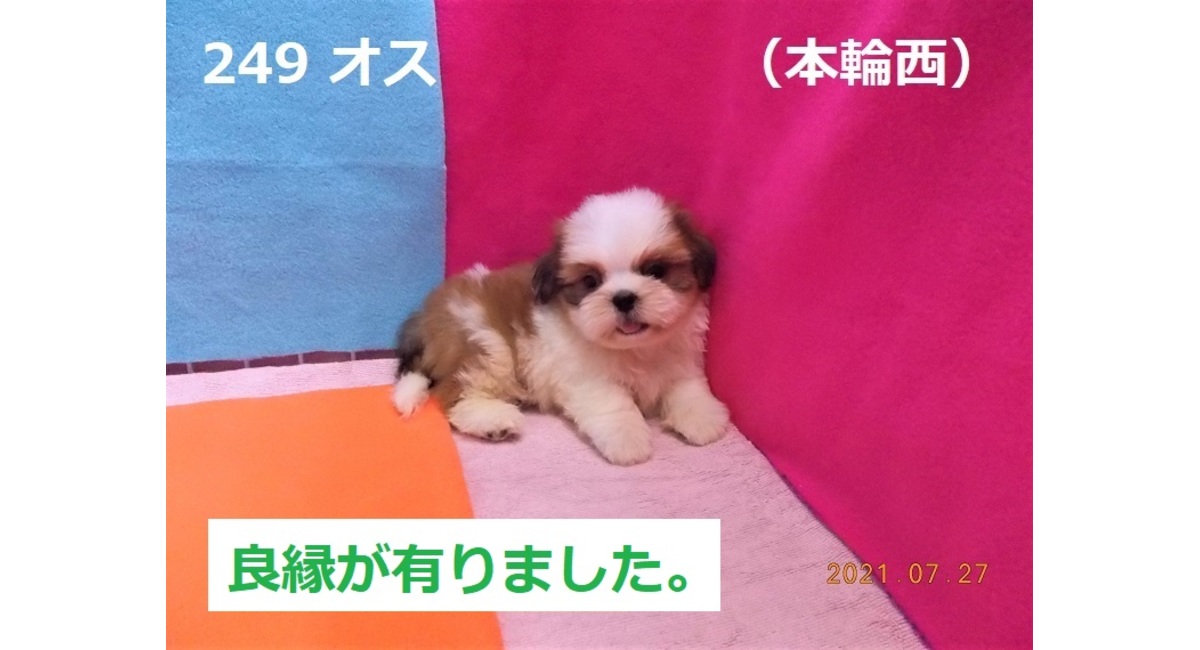 本輪西良縁