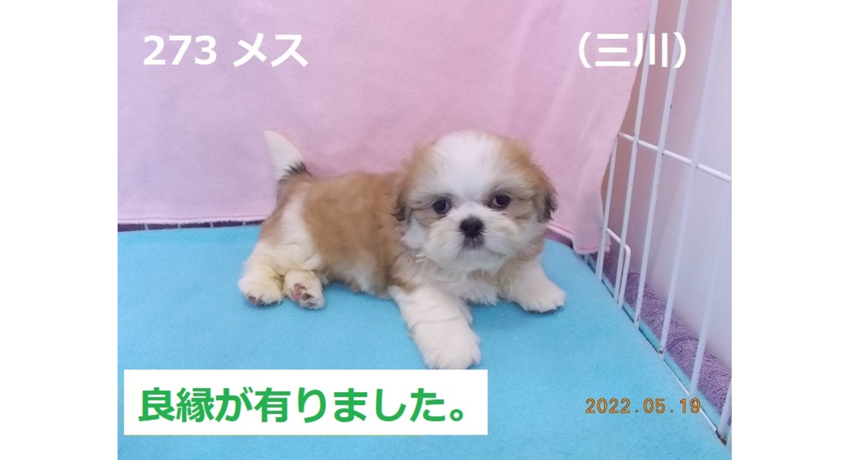 三川良縁