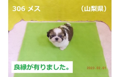 良縁山梨県