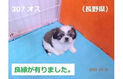長野県良縁