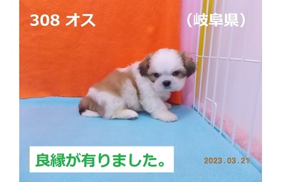 岐阜県良縁