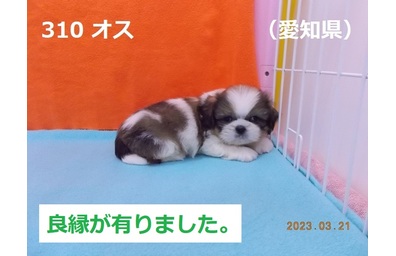愛知県良縁