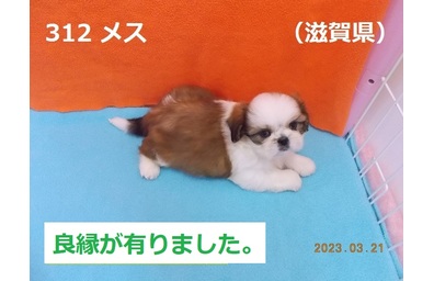 滋賀県良縁
