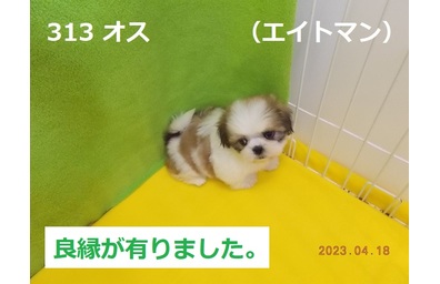 エイトマン良縁