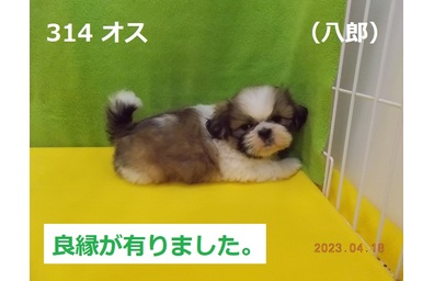 八郎良縁