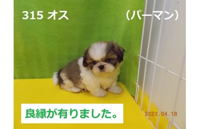 パーマン良縁