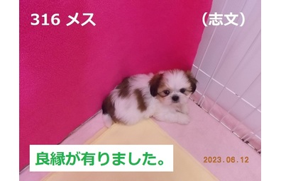 志文良縁