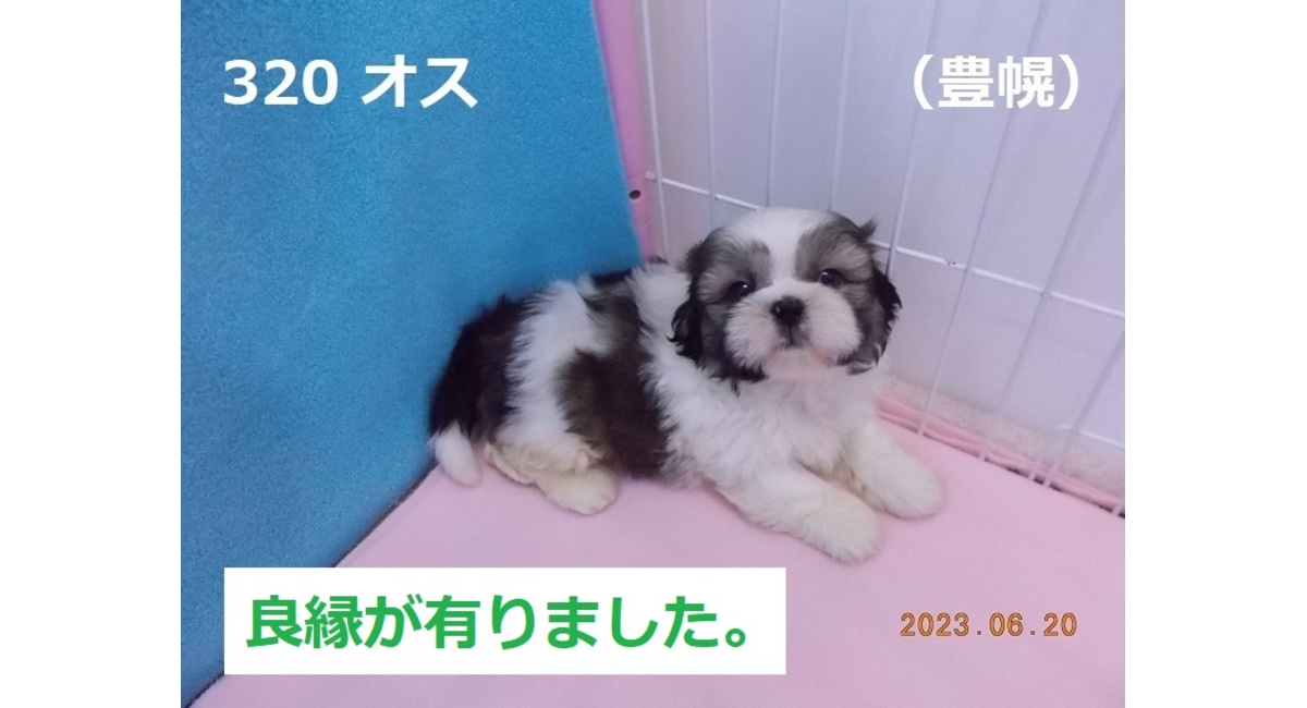 豊幌良縁
