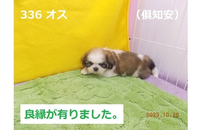 良縁倶知安