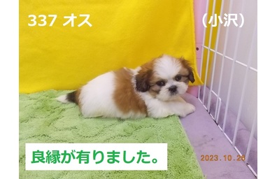 良縁小沢