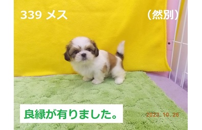 然別良縁