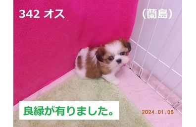 蘭島良縁