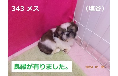 塩谷良縁