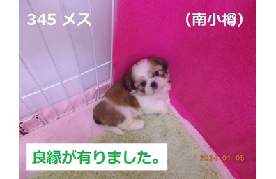 南小樽良縁