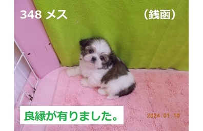 良縁銭函