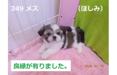 良縁ほしみ