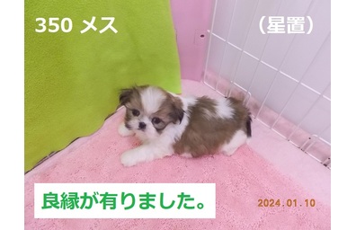 星置良縁