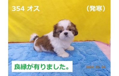 発寒良縁
