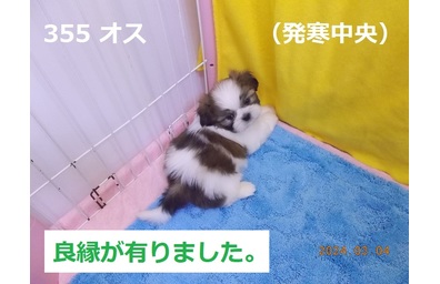 良縁発寒中央