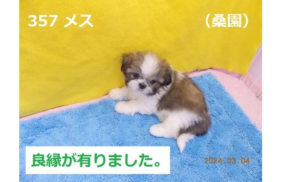桑園の良縁