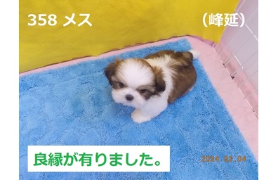 良縁峰延