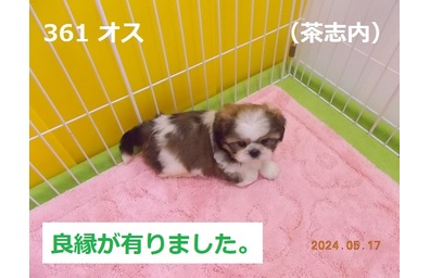 良縁茶志内