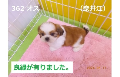 良縁奈井江