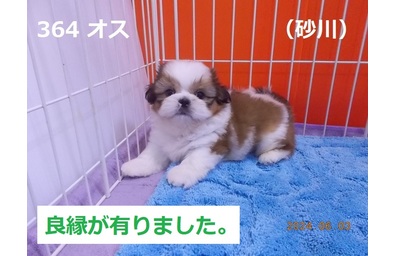 良縁砂川