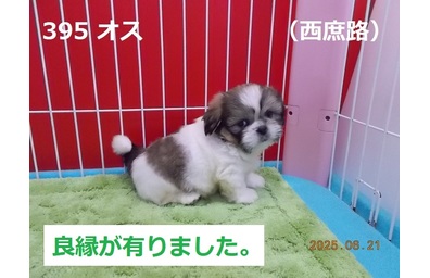 良縁西庶路
