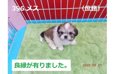 6月庶路