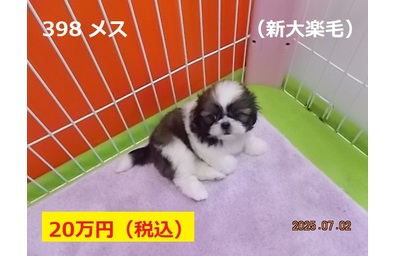 文字変更新大楽毛