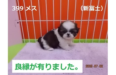 良縁新富士