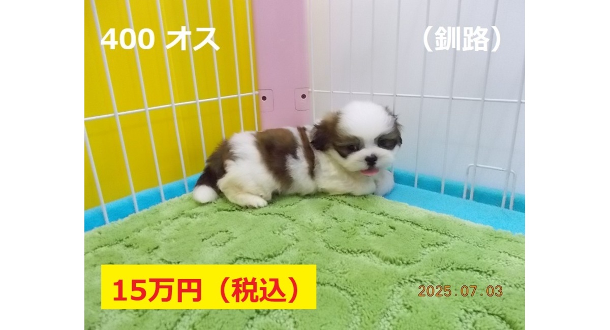 釧路7月