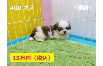 釧路7月