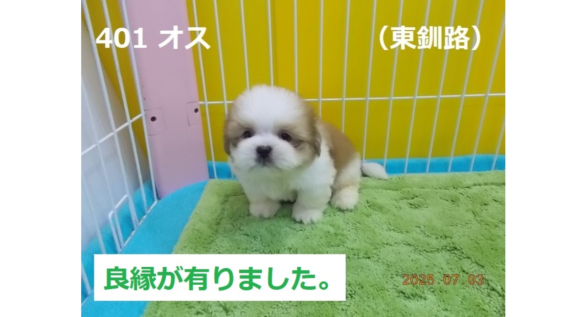 良縁東釧路