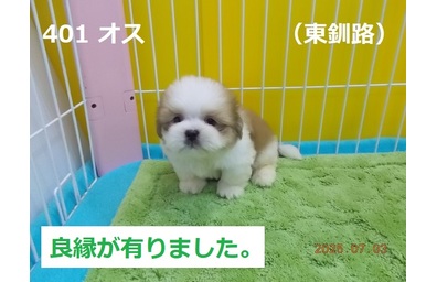 良縁東釧路