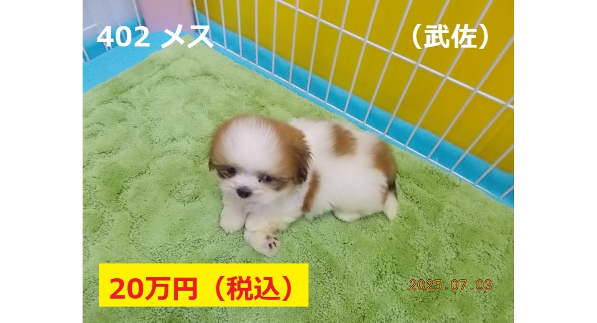 武佐7月