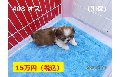 別保7月