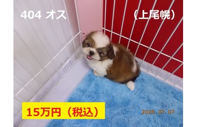 上尾幌7月