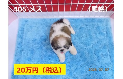 尾幌7月