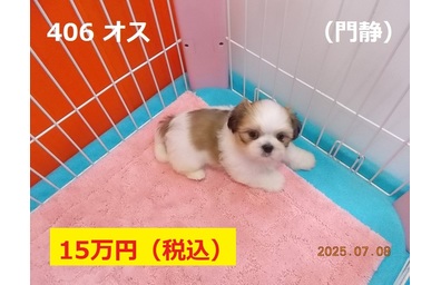 門静7月