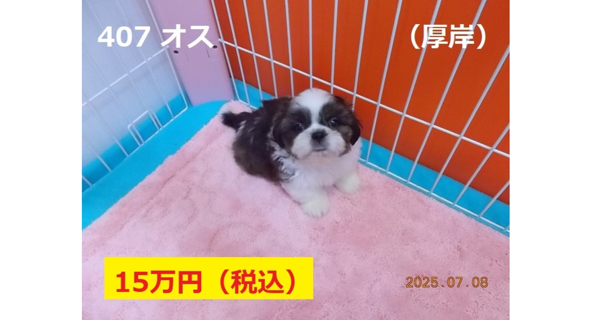 厚岸7月