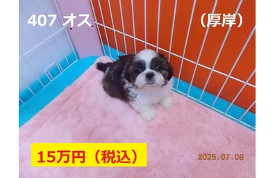 厚岸7月