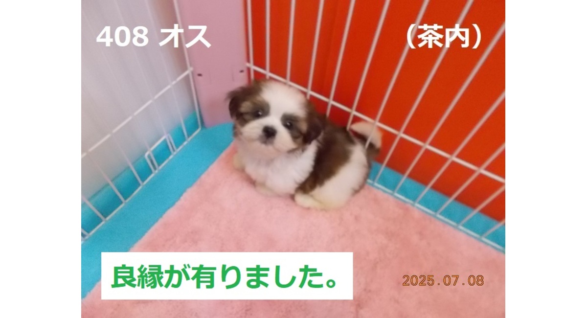 良縁茶内