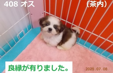 良縁茶内