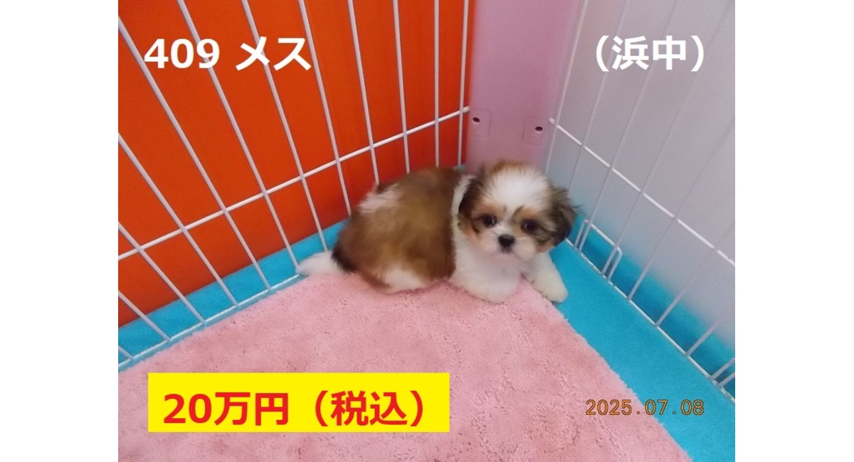 浜中7月